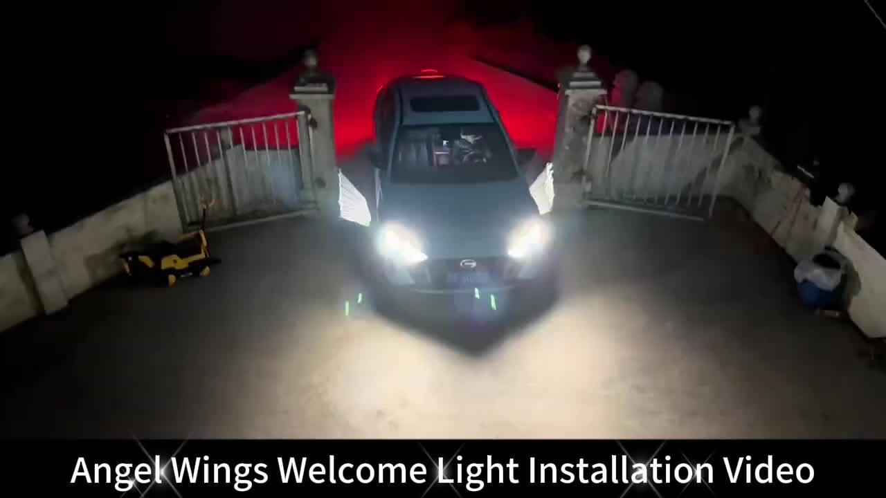 2pcs Car Led Puddle Door Lights, Universal Car Projection Lights, Angel Wings LED Side Mirror Puddle Lights For Car