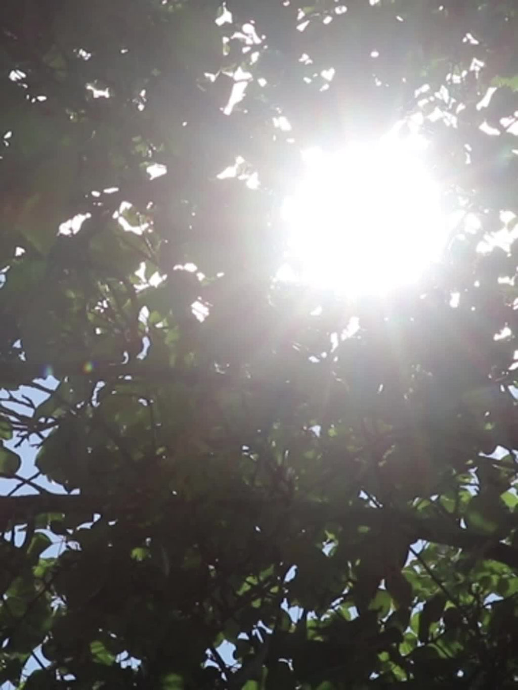 Automobile Windshield Sunshade-Foldable Automobile Umbrella Sunshade, Anti-Ultraviolet Car Front Window (Heat Protection) Windshield Cover Card